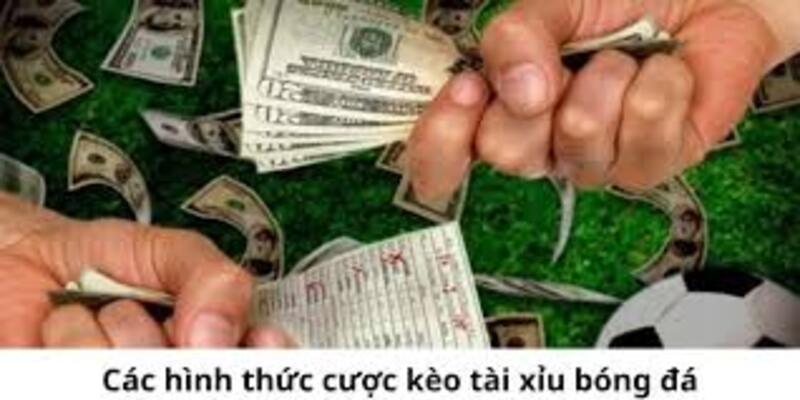 Giới thiệu sơ lược về loại kèo cược tài xỉu bóng đá